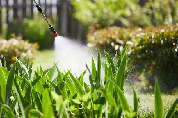 24/7 Emergency Ant Control experts in Edwardsville, PA
